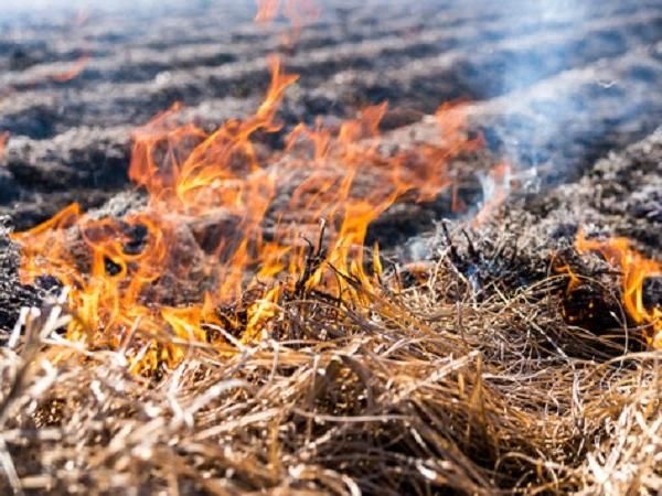 Stubble Burning Ban Punjab Haryana